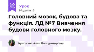 Головний мозок, будова та функція. ЛД №7 Вивчення будови головного мозку.