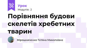 Порівняння будови скелетів хребетних тварин