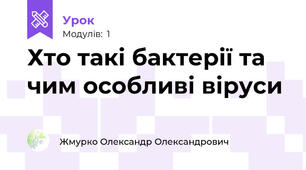 Хто такі бактерії та чим особливі віруси