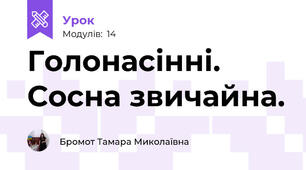 Голонасінні. Сосна звичайна.
