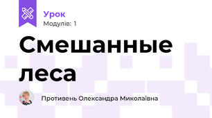  Смешанные леса