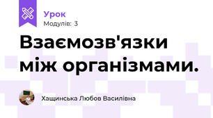 Взаємозв'язки між організмами.