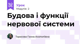 Будова і функції нервової системи
