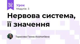 Нервова система, її значення