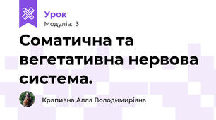 Соматична та вегетативна нервова система.