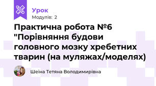 Практична робота №6 "Порівняння будови головного мозку хребетних тварин (на муляжах/моделях)