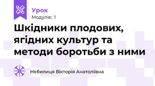 Шкідники плодових, ягідних культур та методи боротьби з ними