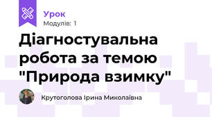 Діагностувальна робота за темою "Природа взимку"
