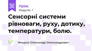 Сенсорні системи рівноваги, руху, дотику, температури, болю.
