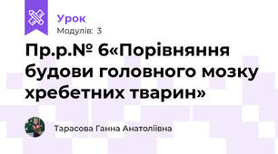 Пр.р.№ 6«Порівняння будови головного мозку хребетних тварин»