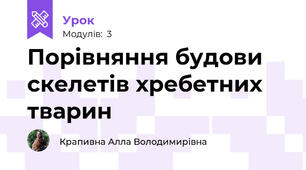 Порівняння будови скелетів хребетних тварин