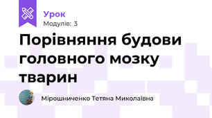 Порівняння будови головного мозку тварин