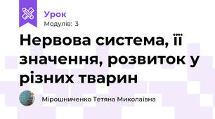 Нервова система, її значення, розвиток у різних тварин