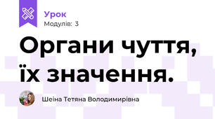 Органи чуття, їх значення.