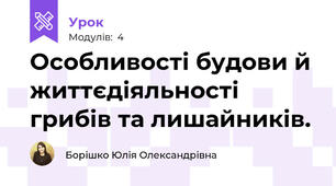 Особливості будови й життєдіяльності  грибів та лишайників. 