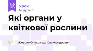 Які органи у квіткової рослини