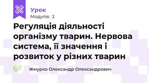 Регуляція діяльності організму тварин. Нервова система, її значення і розвиток у різних тварин