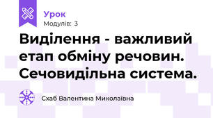 Виділення - важливий етап обміну речовин. Сечовидільна система.
