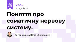 Поняття про соматичну нервову систему.