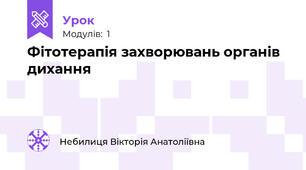 Фітотерапія захворювань органів дихання