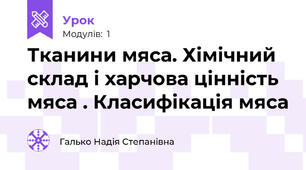 Тканини мяса. Хімічний склад і харчова цінність мяса . Класифікація мяса