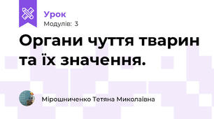Органи чуття тварин та їх значення.