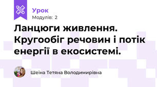 Ланцюги живлення. Кругообіг речовин і потік енергії в екосистемі.