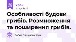 Особливості будови грибів. Розмноження та поширення грибів.