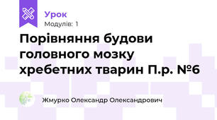 Порівняння будови головного мозку хребетних тварин П.р. №6