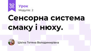 Сенсорна система смаку і нюху.