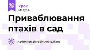 Приваблювання птахів в сад