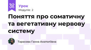 Поняття про соматичну та вегетативну нервову систему