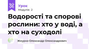 Водорості та спорові рослини: хто у воді, а хто на суходолі