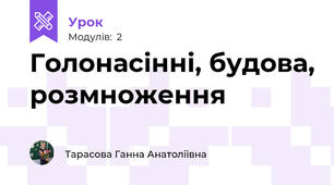 Голонасінні, будова, розмноження