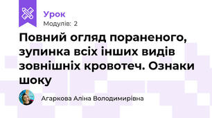 Повний огляд пораненого, зупинка всіх інших видів зовнішніх кровотеч. Ознаки шоку