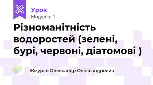 Різноманітність водоростей (зелені, бурі, червоні, діатомові )