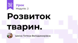 Розвиток тварин.