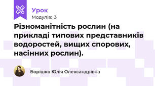 Різноманітність рослин (на прикладі типових представників водоростей, вищих спорових, насінних рослин).