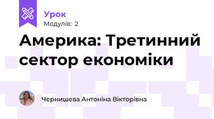 Америка: Третинний сектор економіки