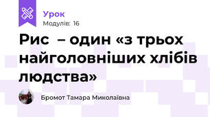 Рис  – один «з трьох найголовніших хлібів людства» 
