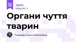 Органи чуття тварин