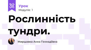 Рослинність тундри.