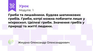 Гриби та лишайники. Будова шапинкових грибів. Гриби, котрі можна побачити лише у мікроскоп. Цвілеві гриби. Значення грибів у природі та житті людини. 