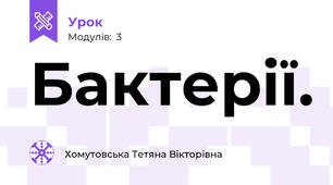 Бактерії.