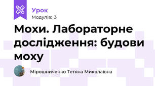 Мохи. Лабораторне дослідження: будови моху