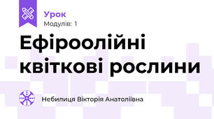 Ефіроолійні квіткові рослини