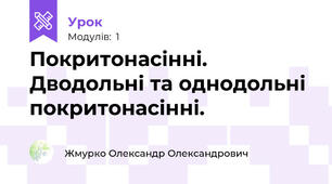 Покритонасінні. Дводольні та однодольні покритонасінні.