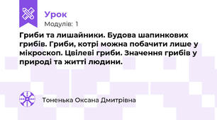 Гриби та лишайники. Будова шапинкових грибів. Гриби, котрі можна побачити лише у мікроскоп. Цвілеві гриби. Значення грибів у природі та житті людини. 
