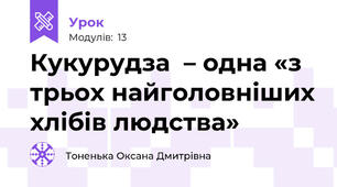 Кукурудза  – одна «з трьох найголовніших хлібів людства» 