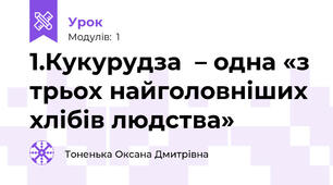 1.Кукурудза  – одна «з трьох найголовніших хлібів людства» 